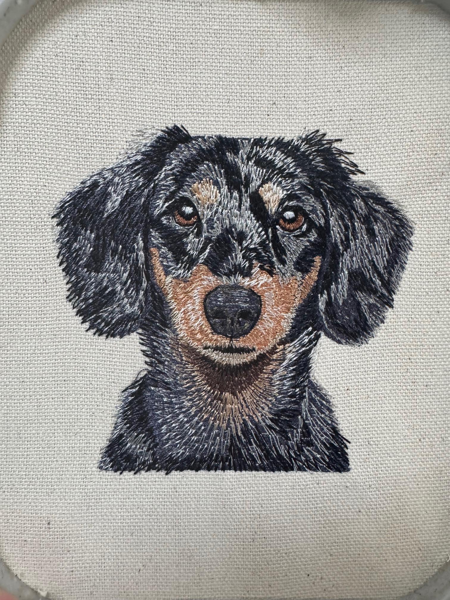 Dachshund Machine Embroidered Framed Art – Tabletop Decor for Home or Office