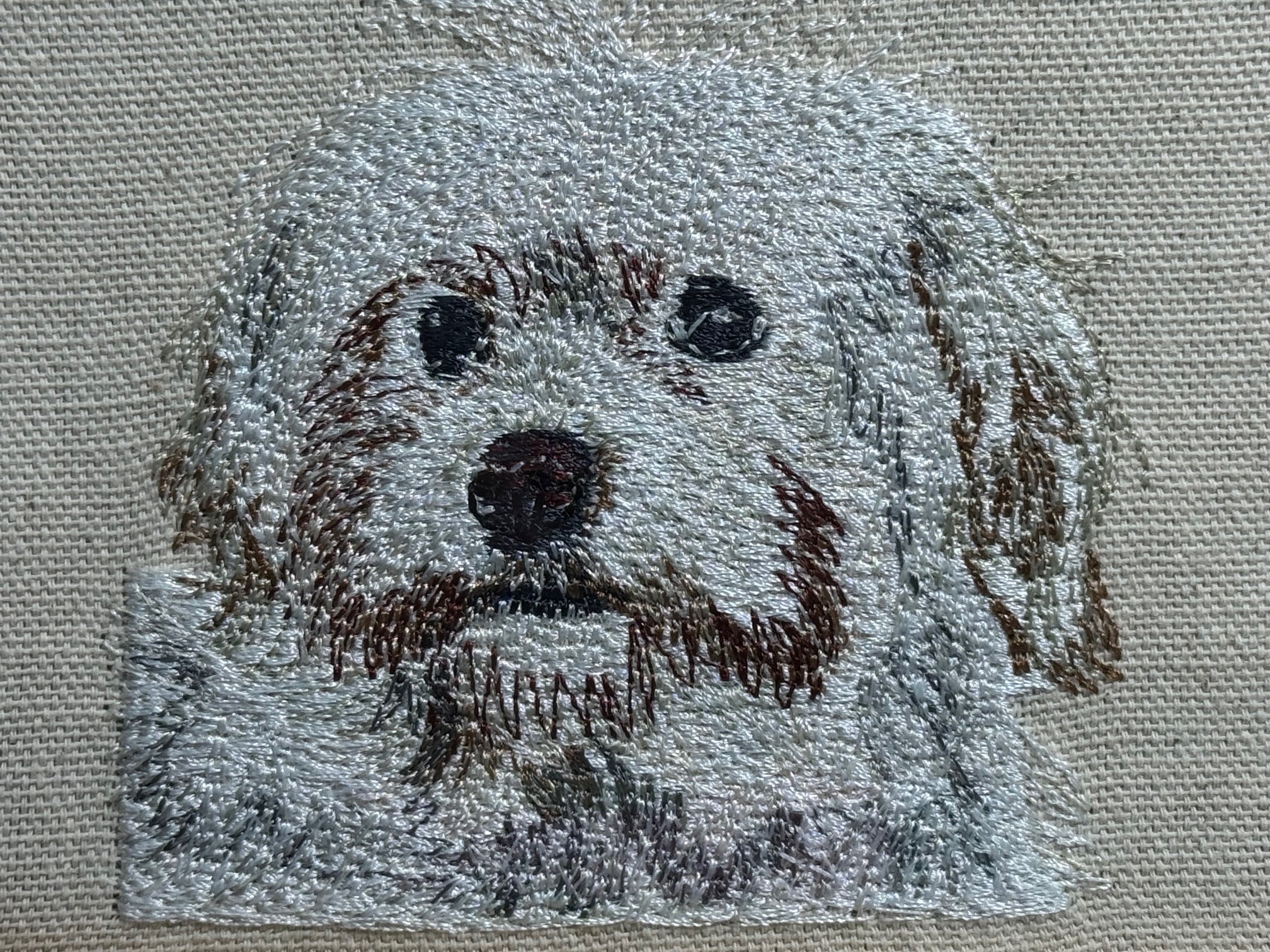 Havanese Machine Embroidered Framed Art | Tabletop Decor