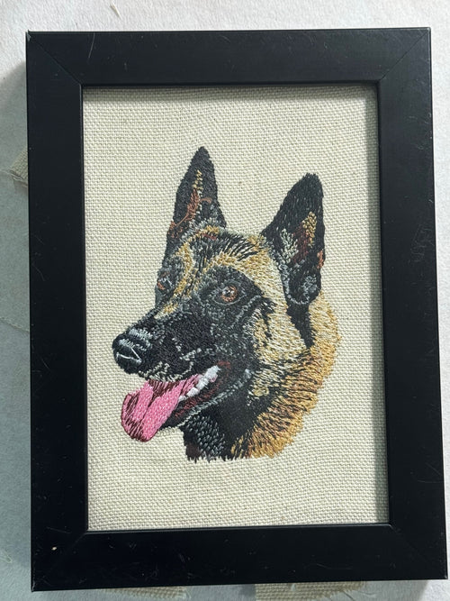 Belgian Malinois Machine Embroidered Framed Art No. 2 | Tabletop Decor