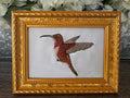 Hummingbird Machine Embroidered Art | Framed Bird Décor