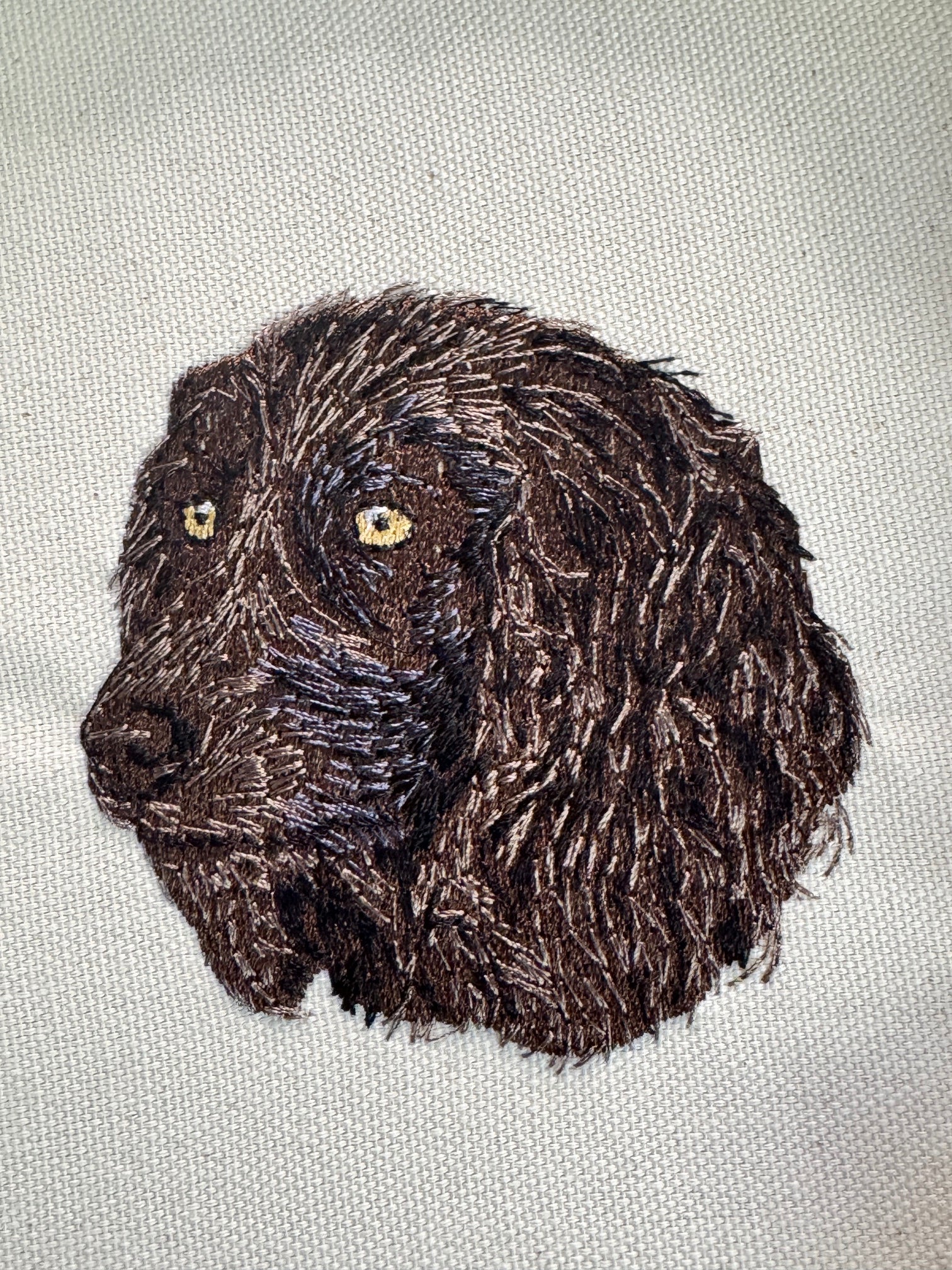 Boykin Spaniel Machine Embroidered Framed Art