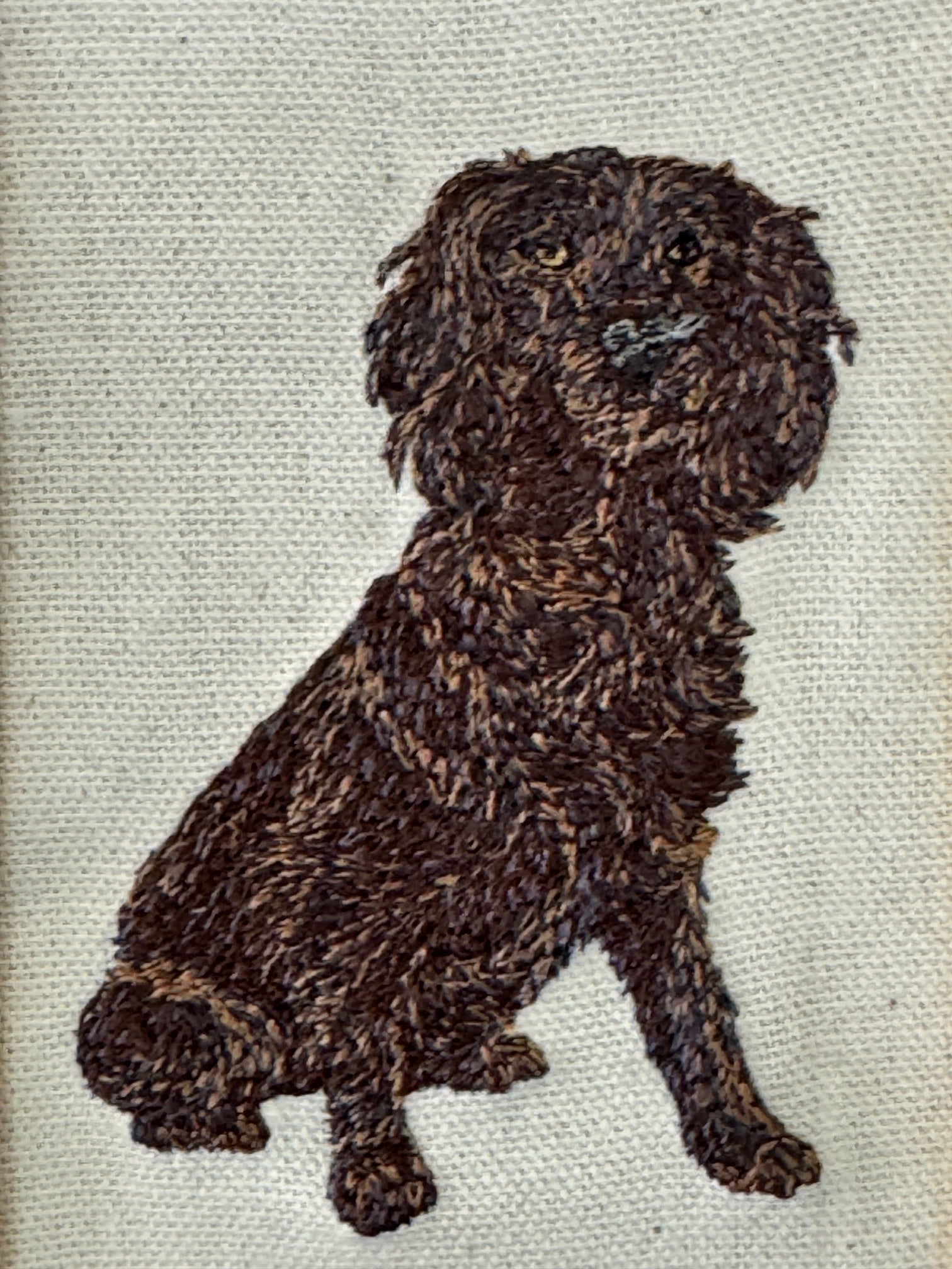 Boykin Spaniel Machine Embroidered Framed Art | Tabletop Decor