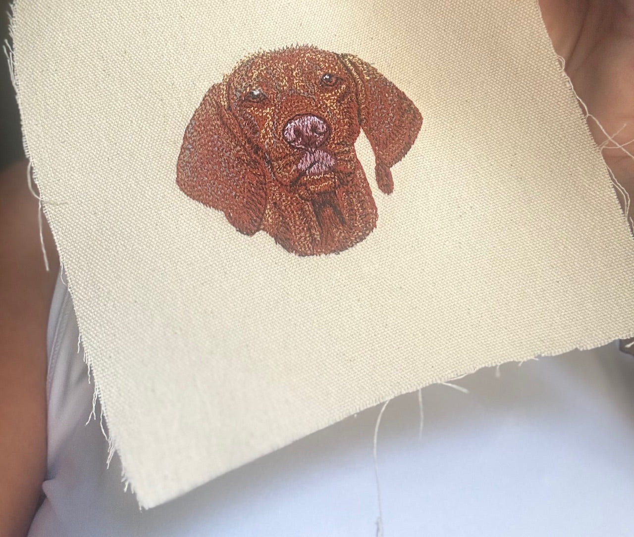 Vizsla Machine Embroidered Framed Art | Tabletop Decor