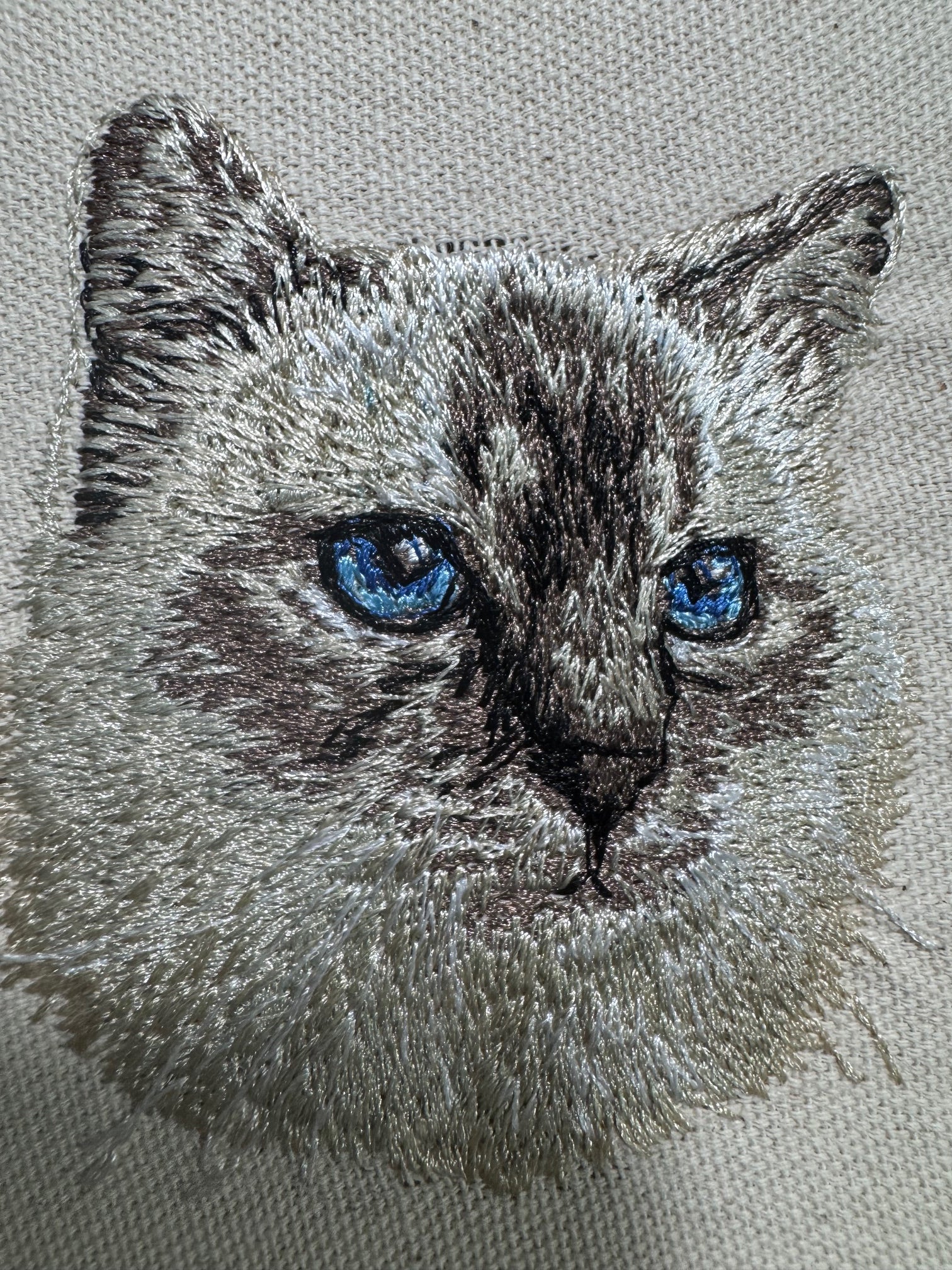 Birman Cat Machine Embroidered Art | Framed Cat Breed Décor