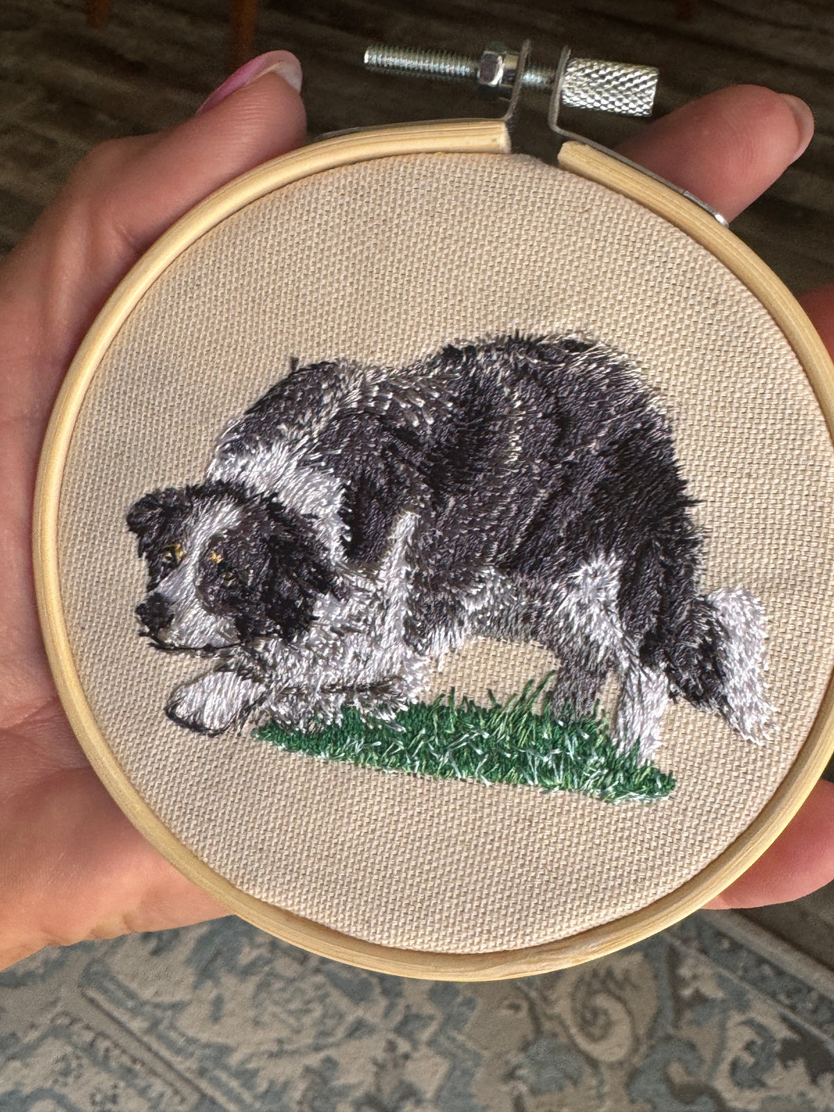 Border Collie Christmas Ornament, Machine Embroidered, 4-Inch Hanging Hoop