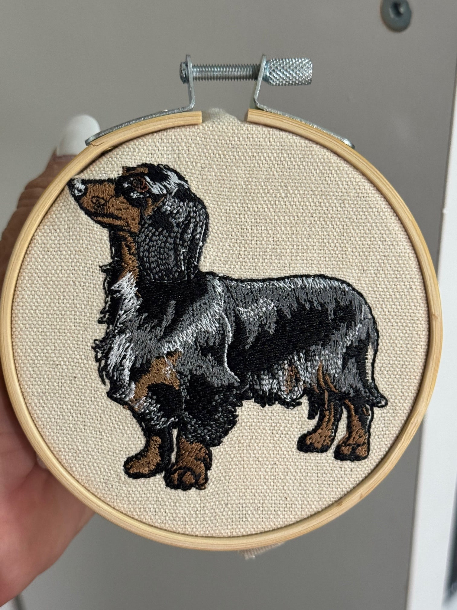 Dapple Dachshund Machine Embroidered Art | Framed Dog Breed Décor