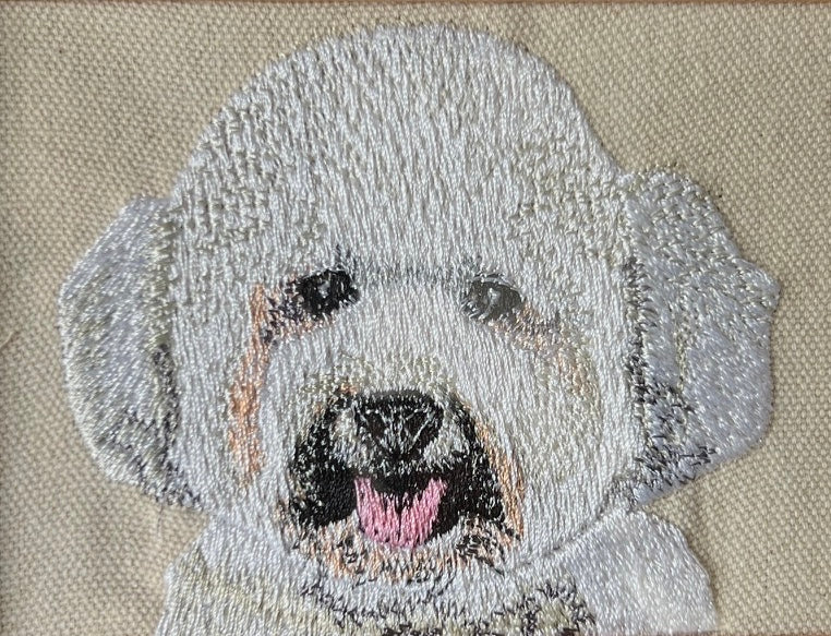 Poodle Bichon Machine Embroidered Framed Art | Tabletop Decor for Home or Office