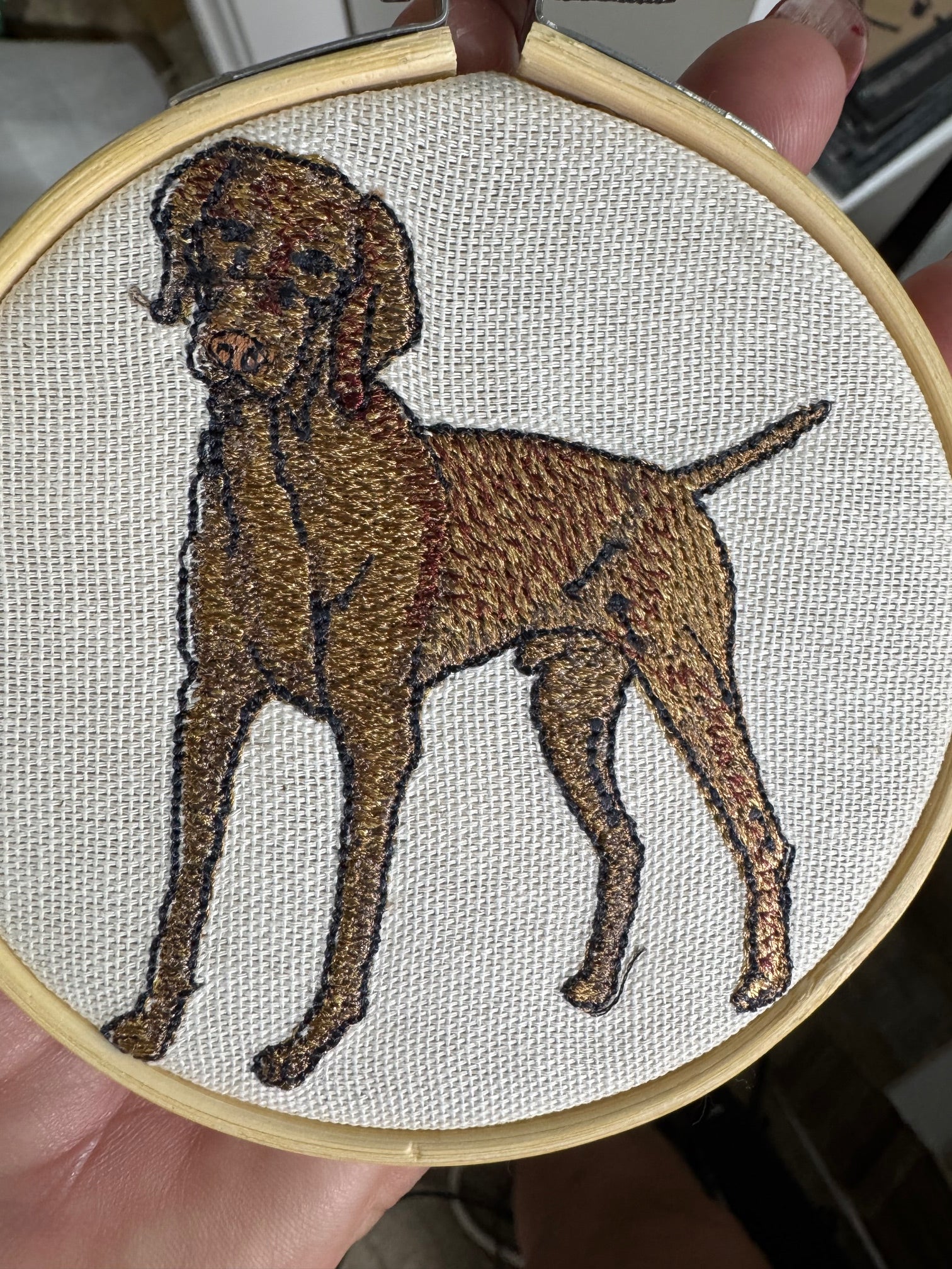Rhodesian Ridgeback Machine Embroidered Framed Art | Tabletop Decor for Home or Office