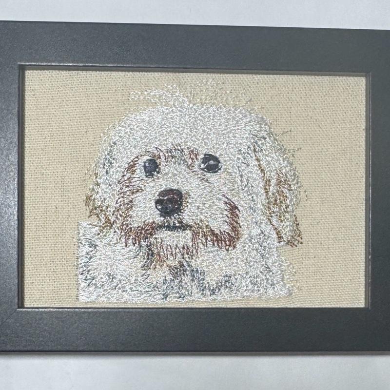 Maltese Machine Embroidered Art | Framed Dog Breed Décor