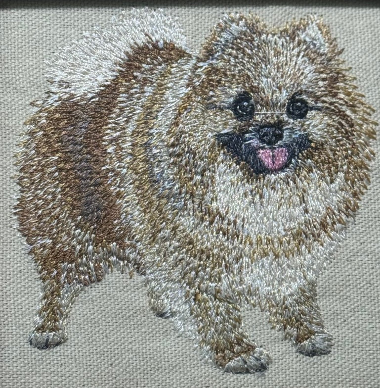 Pomeranian Machine Embroidered Framed Art | Tabletop Decor