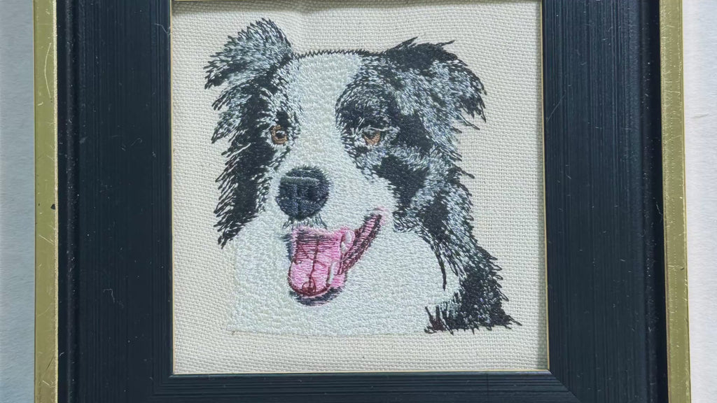 Border Collie Machine Embroidered Framed Art | Tabletop Decor for Home or Office
