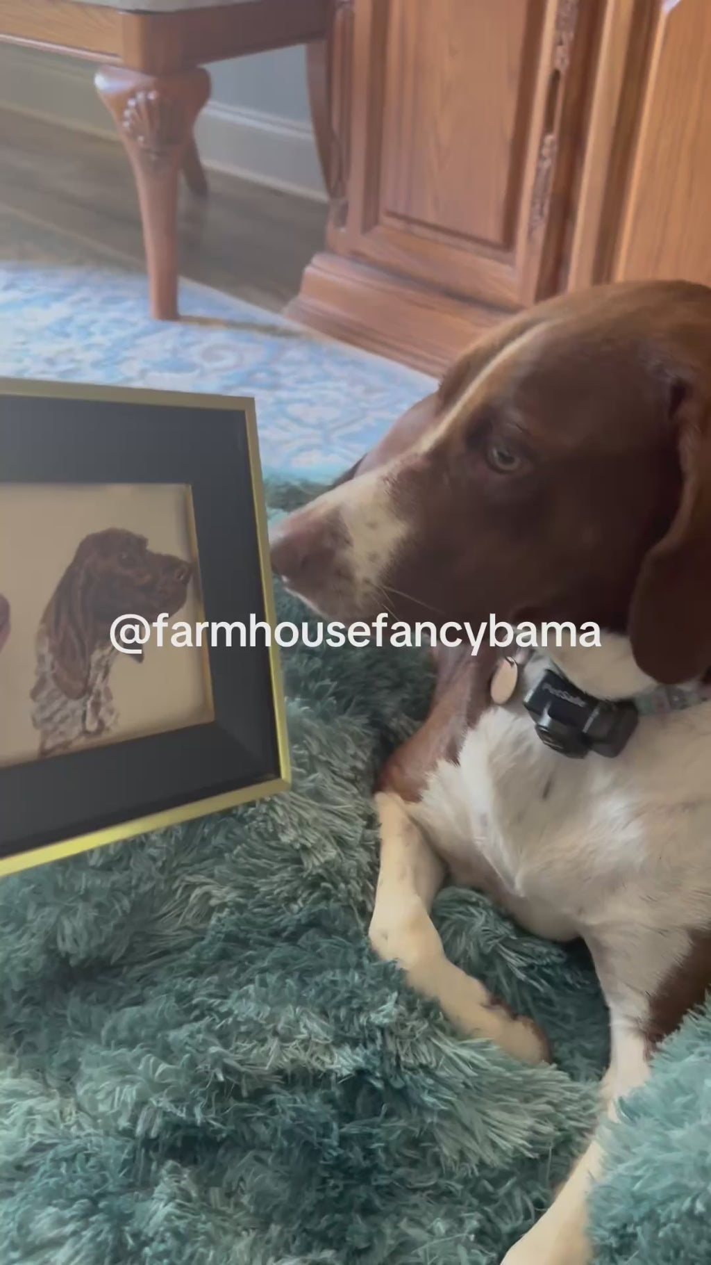 German Pointer Mix Machine Embroidered Framed Art | Tabletop Decor