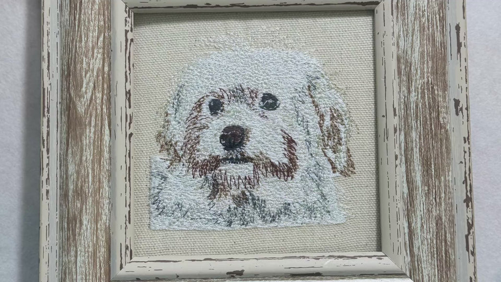 Havanese Machine Embroidered Framed Art | Tabletop Decor